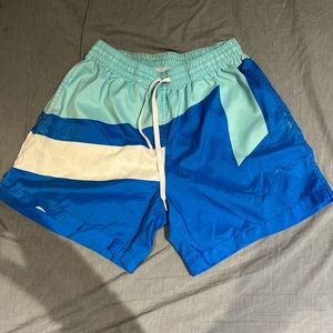 Chubbies Men’s Swimshort 4” inseam